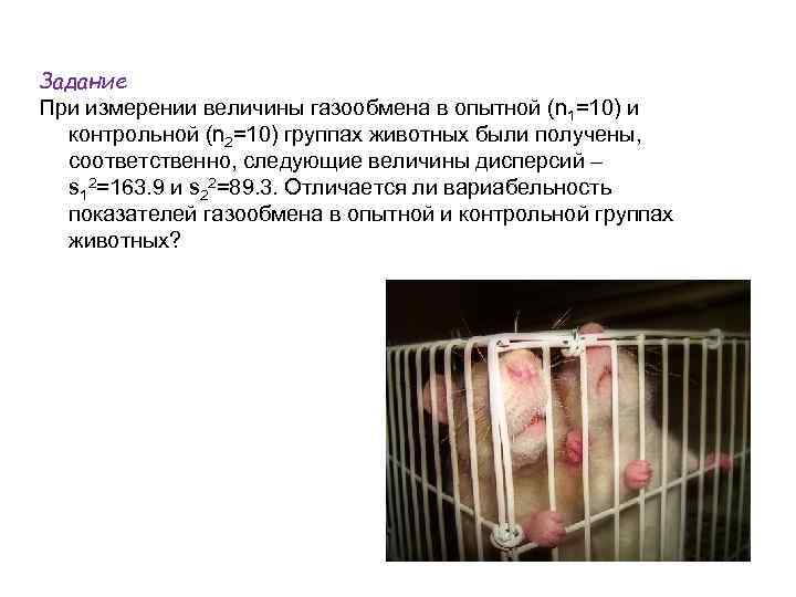 Задание При измерении величины газообмена в опытной (n 1=10) и контрольной (n 2=10) группах