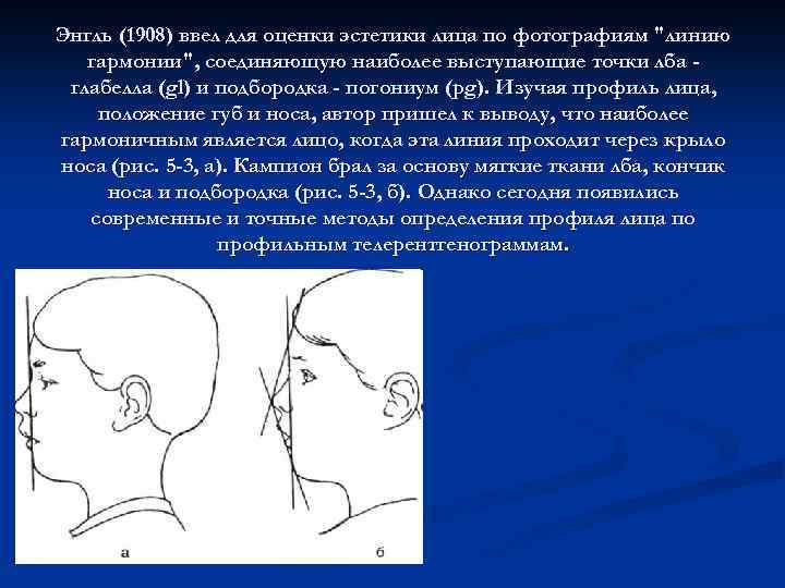 Энгль (1908) ввел для оценки эстетики лица по фотографиям 
