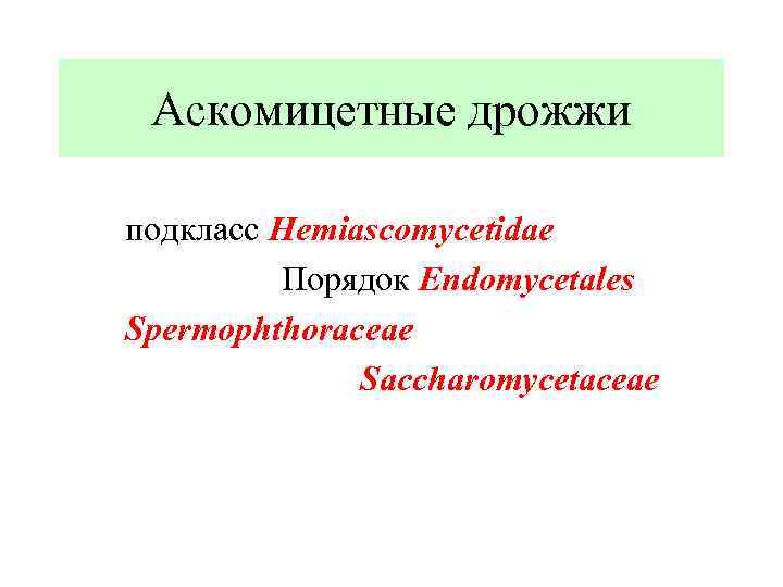 Аскомицетные дрожжи подкласс Hemiascomycetidae Порядок Endomycetales Spermophthoraceae Saccharomycetaceae 