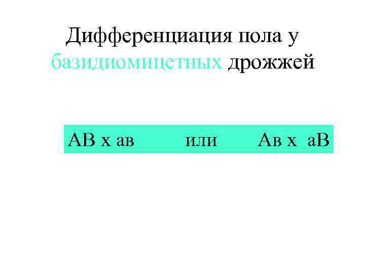 Дифференциация пола у базидиомицетных дрожжей АВ х ав или Ав х а. В 