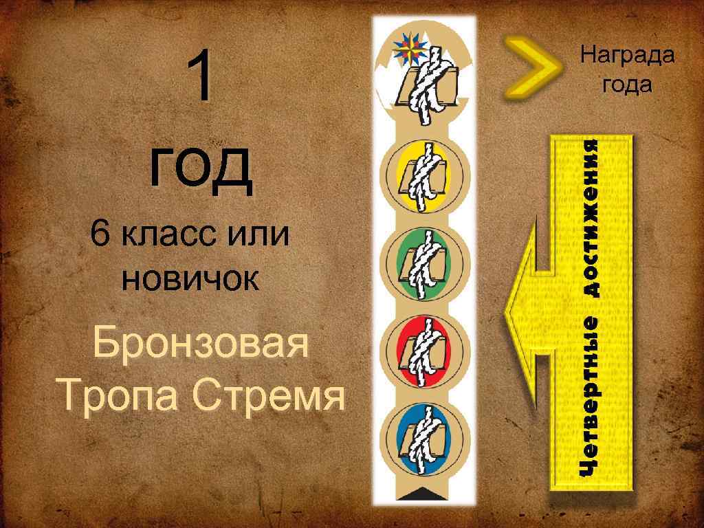 1 год 6 класс или новичок Бронзовая Тропа Стремя Награда года 
