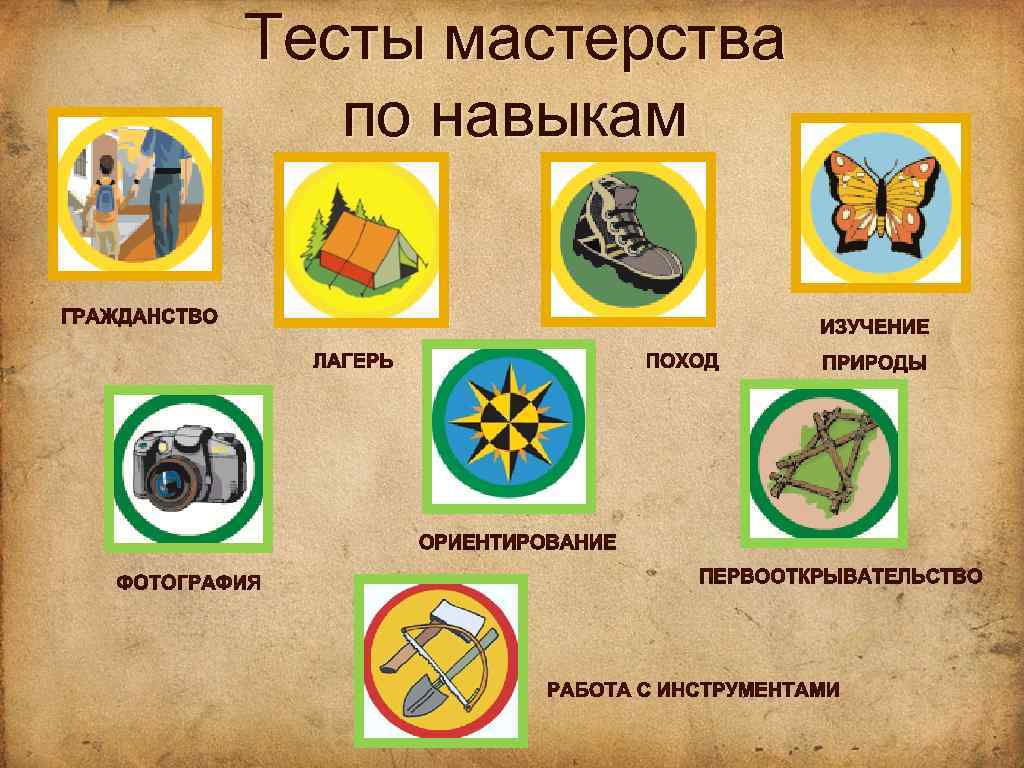 Тесты мастерства по навыкам 