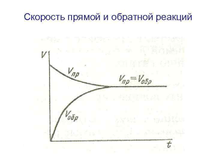 Скорость прямой и обратной реакций 