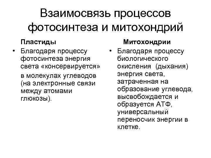 Взаимосвязь процессов фотосинтеза и митохондрий Пластиды • Благодаря процессу фотосинтеза энергия света «консервируется» в