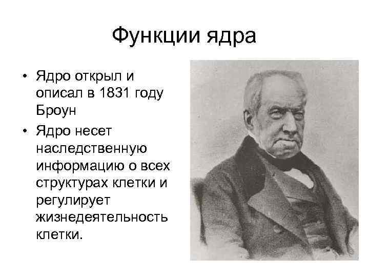Функции ядра • Ядро открыл и описал в 1831 году Броун • Ядро несет
