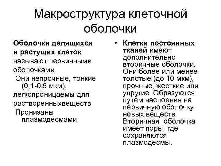 Макроструктура клеточной оболочки Оболочки делящихся и растущих клеток называют первичными оболочками. Они непрочные, тонкие