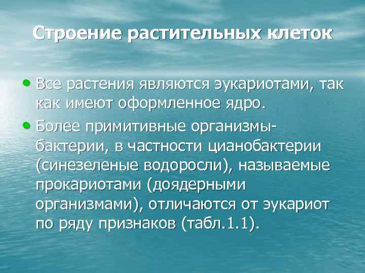 Строение растительных клеток • Все растения являются эукариотами, так как имеют оформленное ядро. •