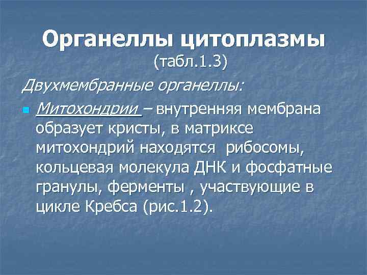 Органеллы цитоплазмы (табл. 1. 3) Двухмембранные органеллы: n Митохондрии – внутренняя мембрана образует кристы,