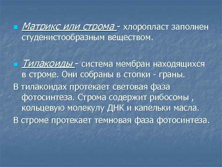 n Матрикс или строма - хлоропласт заполнен студенистообразным веществом. n Тилакоиды - система мембран