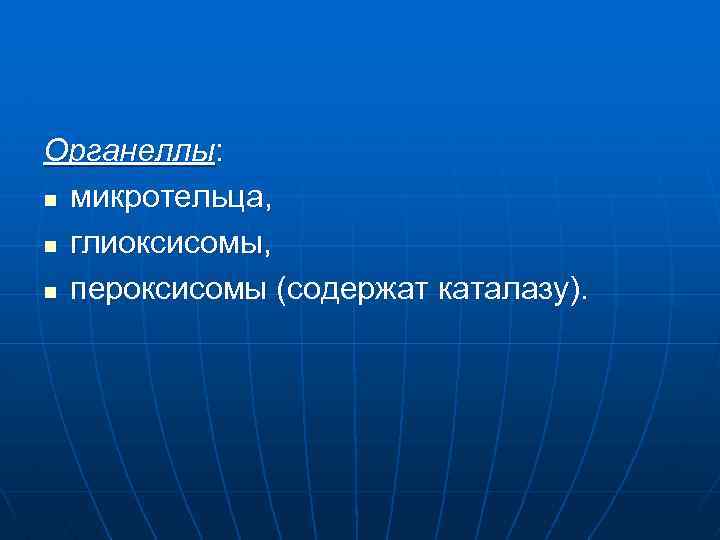 Органеллы: n микротельца, n глиоксисомы, n пероксисомы (содержат каталазу). 
