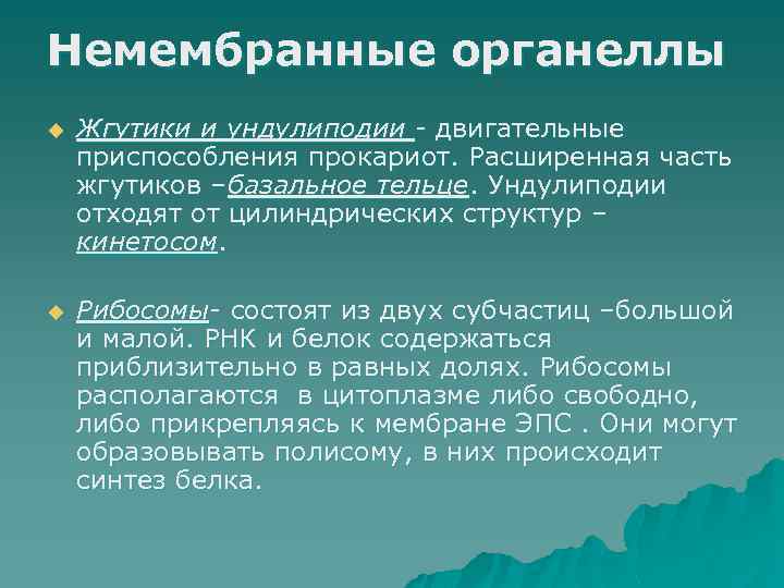 Немембранные органеллы u Жгутики и ундулиподии - двигательные приспособления прокариот. Расширенная часть жгутиков –базальное