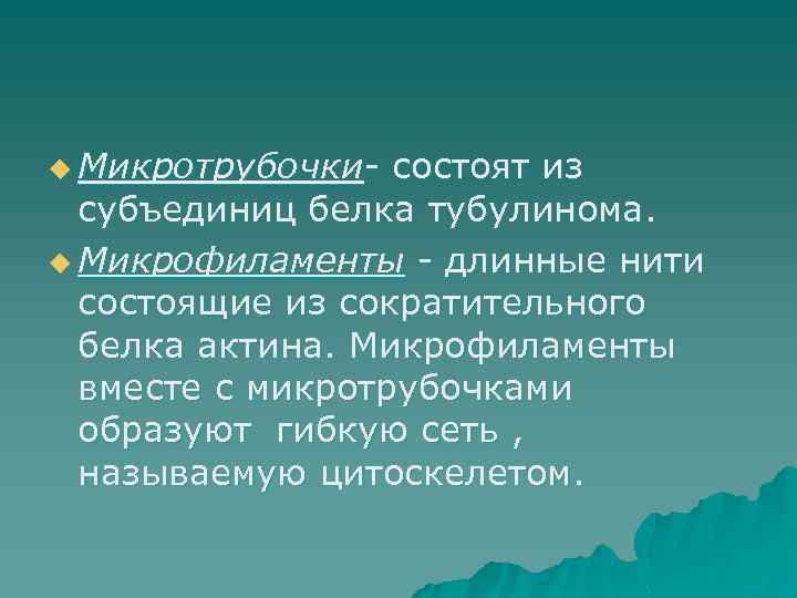 u Микротрубочки- состоят из субъединиц белка тубулинома. u Микрофиламенты - длинные нити состоящие из