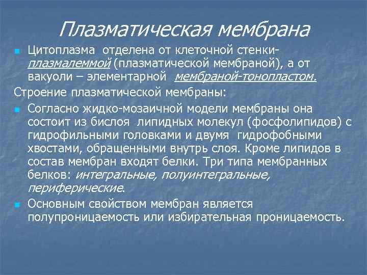 Плазматическая мембрана Цитоплазма отделена от клеточной стенкиплазмалеммой (плазматической мембраной), а от вакуоли – элементарной