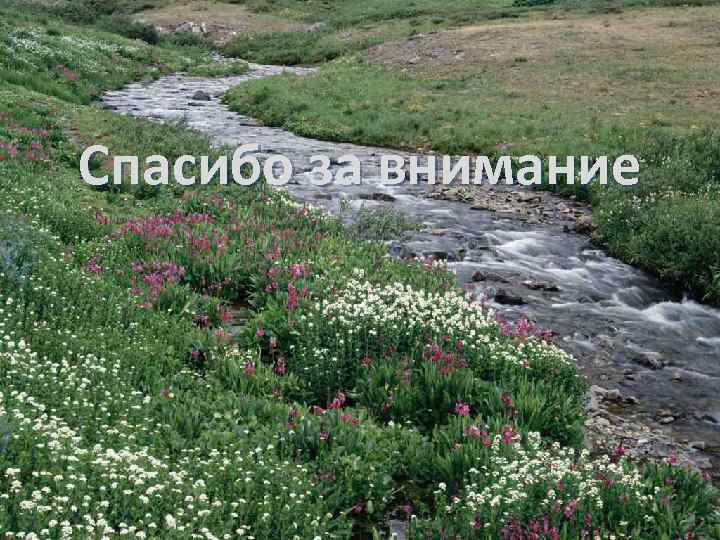 Спасибо за внимание 