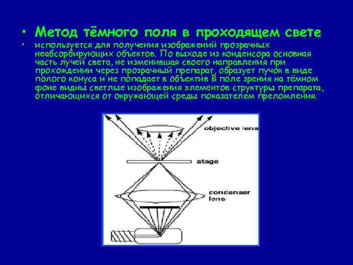 В методе темного поля микроскопии изображение объекта получается