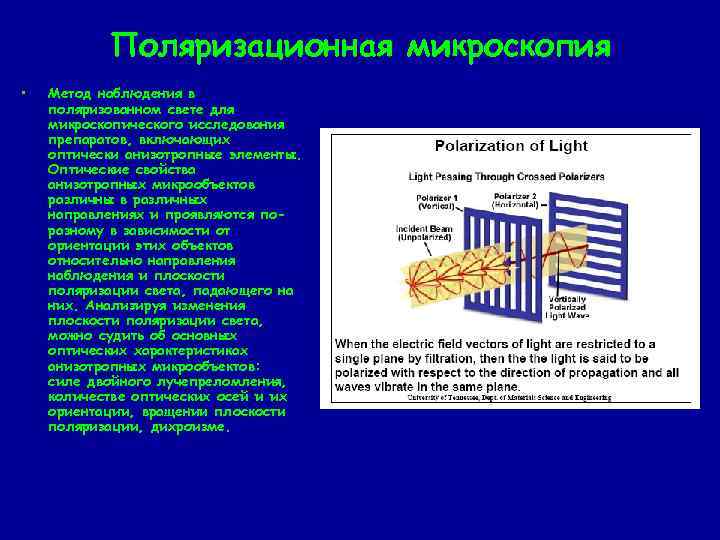 Поляризационная микроскопия • Метод наблюдения в поляризованном свете для микроскопического исследования препаратов, включающих оптически