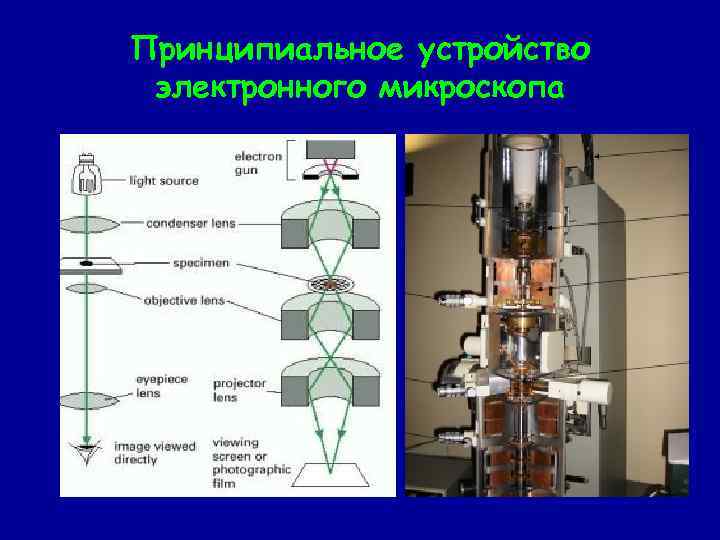 Принципиальное устройство электронного микроскопа 