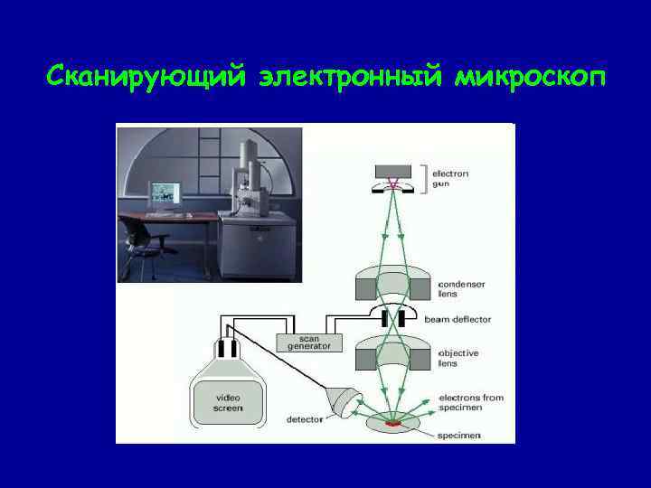 Сканирующий электронный микроскоп 