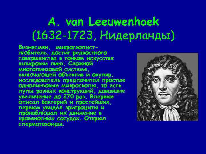 А. van Leeuwenhoek (1632 -1723, Нидерланды) Бизнесмен, микроскопистлюбитель, достиг редкостного совершенства в тонком искусстве