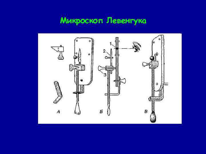 Левенгук микроскоп