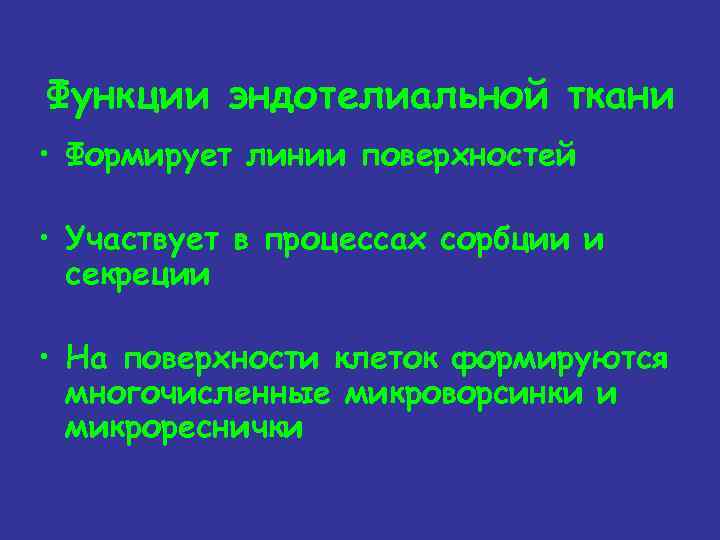 Функции эндотелиальной ткани • Формирует линии поверхностей • Участвует в процессах сорбции и секреции