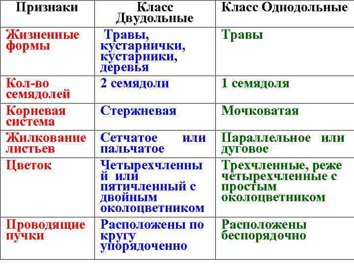 Признаки Жизненные формы Кол-во семядолей Корневая система Жилкование листьев Цветок Проводящие пучки Класс Двудольные