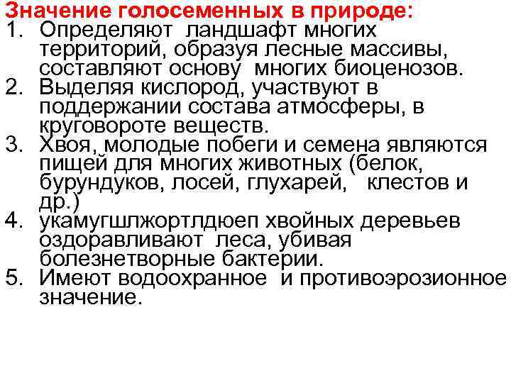 Значение голосеменных в природе: 1. Определяют ландшафт многих территорий, образуя лесные массивы, составляют основу