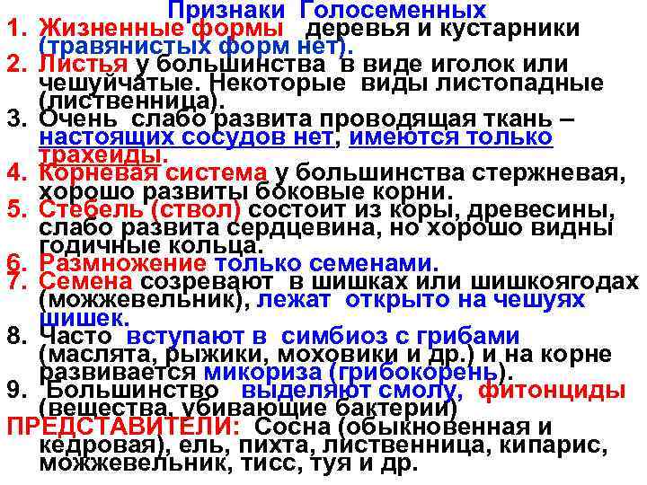 Признаки Голосеменных 1. Жизненные формы деревья и кустарники (травянистых форм нет). 2. Листья у