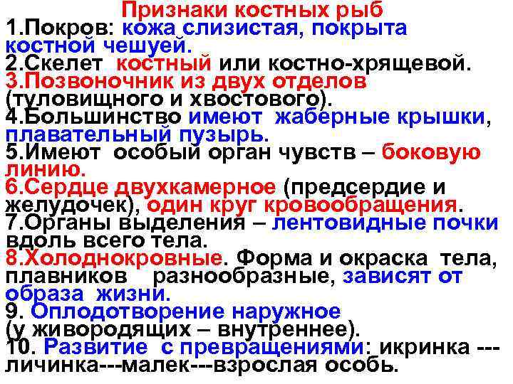 Признаки костных рыб 1. Покров: кожа слизистая, покрыта костной чешуей. 2. Скелет костный или