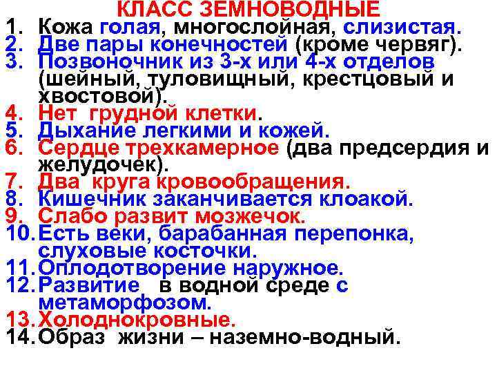 КЛАСС ЗЕМНОВОДНЫЕ 1. Кожа голая, многослойная, слизистая. 2. Две пары конечностей (кроме червяг). 3.