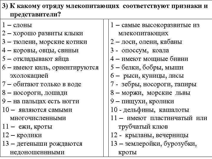 3) К какому отряду млекопитающих соответствуют признаки и представители? 1 – слоны 2 –