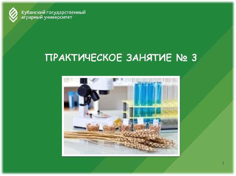 ПРАКТИЧЕСКОЕ ЗАНЯТИЕ № 3 1 
