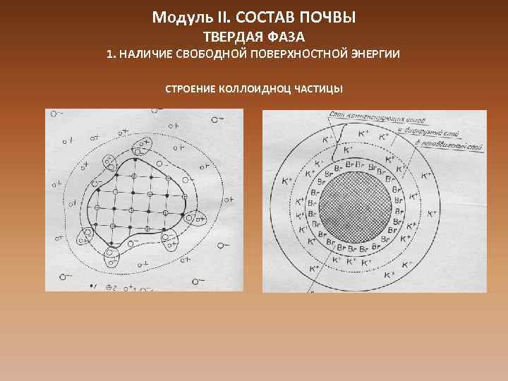 Модуль II. СОСТАВ ПОЧВЫ ТВЕРДАЯ ФАЗА 1. НАЛИЧИЕ СВОБОДНОЙ ПОВЕРХНОСТНОЙ ЭНЕРГИИ СТРОЕНИЕ КОЛЛОИДНОЦ ЧАСТИЦЫ