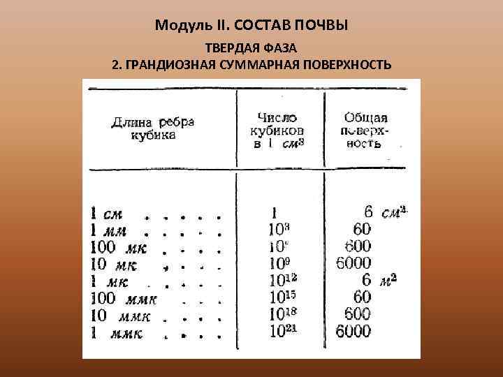 Модуль II. СОСТАВ ПОЧВЫ ТВЕРДАЯ ФАЗА 2. ГРАНДИОЗНАЯ СУММАРНАЯ ПОВЕРХНОСТЬ 