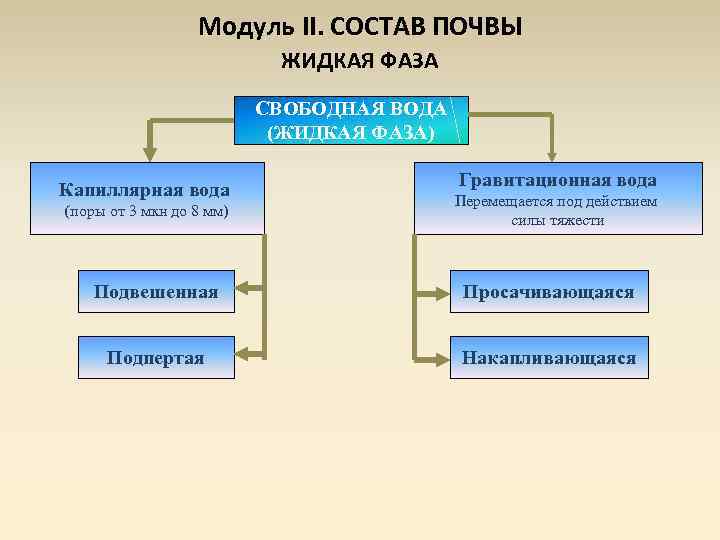 Модуль II. СОСТАВ ПОЧВЫ ЖИДКАЯ ФАЗА СВОБОДНАЯ ВОДА (ЖИДКАЯ ФАЗА) Капиллярная вода (поры от