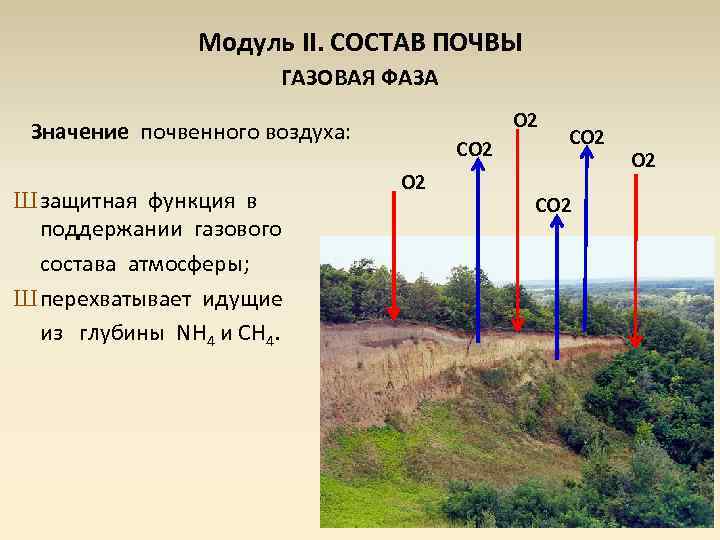 Газовый состав почвы