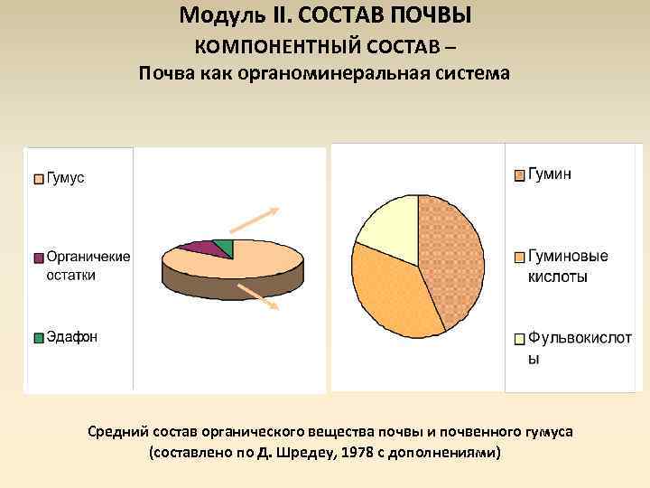 Модуль II. СОСТАВ ПОЧВЫ КОМПОНЕНТНЫЙ СОСТАВ – Почва как органоминеральная система Средний состав органического