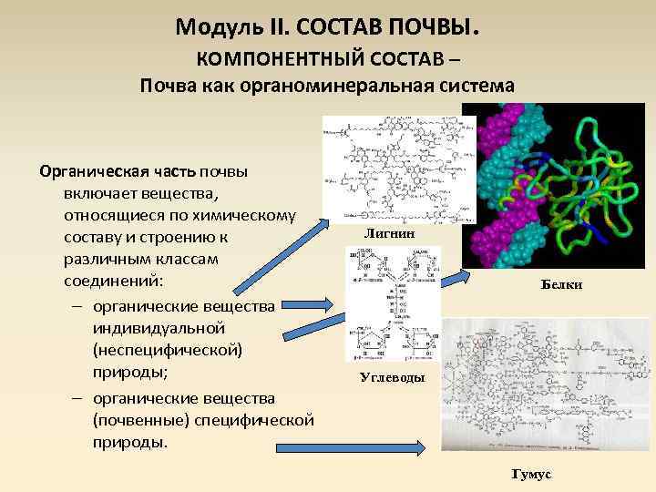 Модуль II. СОСТАВ ПОЧВЫ. КОМПОНЕНТНЫЙ СОСТАВ – Почва как органоминеральная система Органическая часть почвы