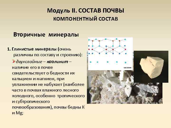 Модуль II. СОСТАВ ПОЧВЫ КОМПОНЕНТНЫЙ СОСТАВ Вторичные минералы 1. Глинистые минералы (очень различны по