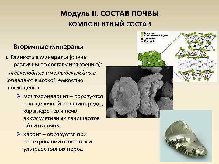 Модуль II. СОСТАВ ПОЧВЫ КОМПОНЕНТНЫЙ СОСТАВ Вторичные минералы 1. Глинистые минералы (очень различны по