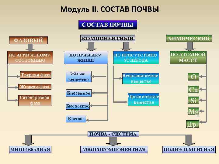 Модуль II. СОСТАВ ПОЧВЫ ФАЗОВЫЙ ПО АГРЕГАТНОМУ СОСТОЯНИЮ Твердая фаза КОМПОНЕНТНЫЙ ПО ПРИЗНАКУ ЖИЗНИ