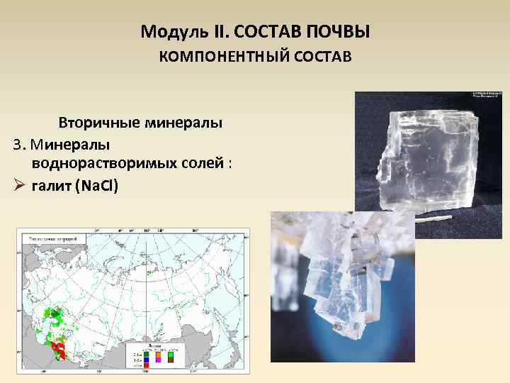 Модуль II. СОСТАВ ПОЧВЫ КОМПОНЕНТНЫЙ СОСТАВ Вторичные минералы 3. Минералы воднорастворимых солей : Ø