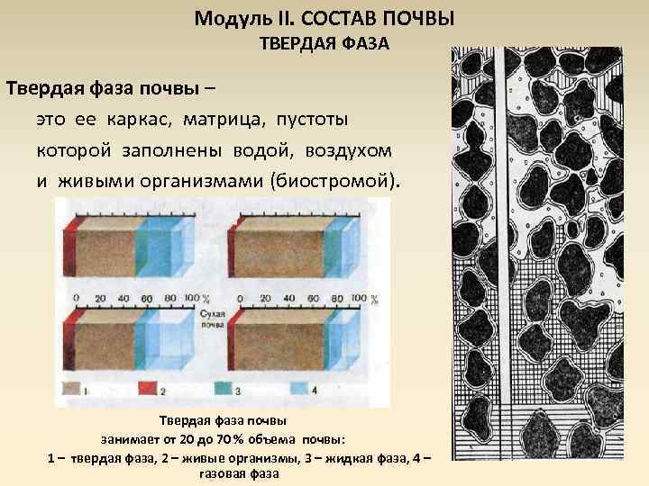 Состав почвы твердая