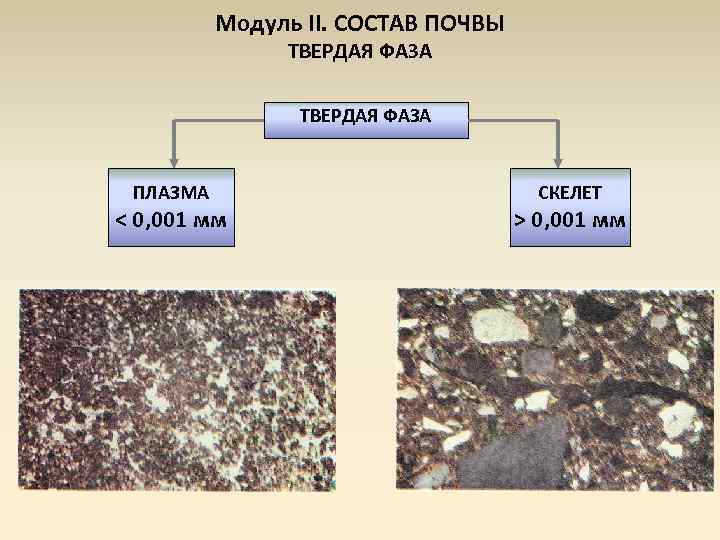 Что не входит в состав почвы. Почва жидкая твердая и газовая фазы. Твердая фаза почвы. Твердая фаза почв состоит:. Твердая фаза почвы состоит из.