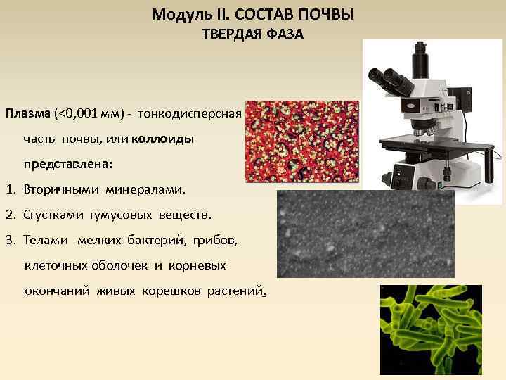 Модуль II. СОСТАВ ПОЧВЫ ТВЕРДАЯ ФАЗА Плазма (<0, 001 мм) - тонкодисперсная часть почвы,