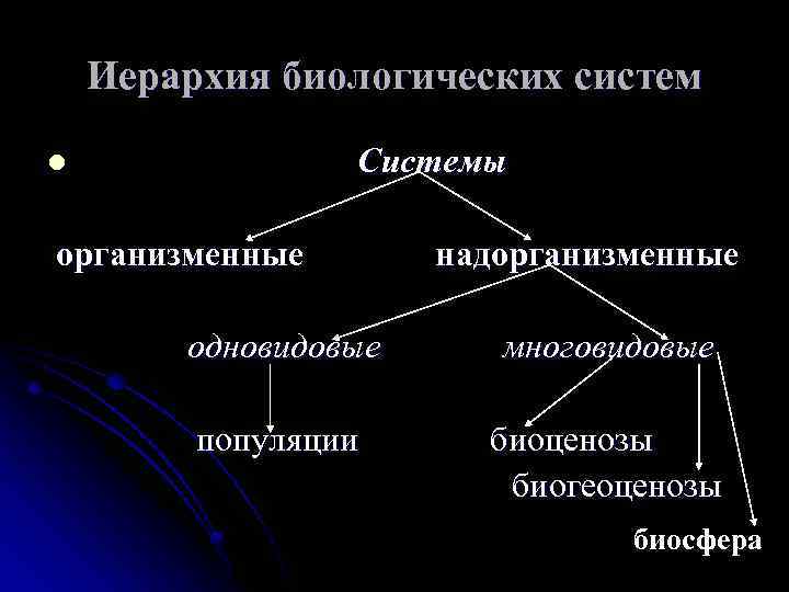 Иерархия природы. Иерархия биологических систем. Иерархичность биологических систем. Иерархическая организация природных биологических систем.