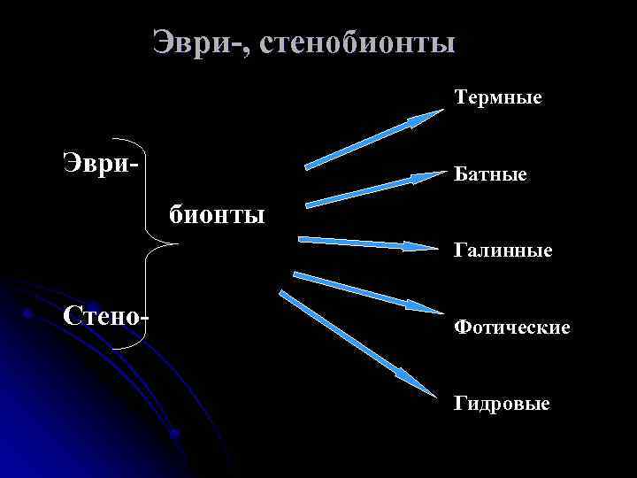 Эври-, стенобионты Термные Эври- Батные бионты Стено- Галинные Фотические Гидровые 