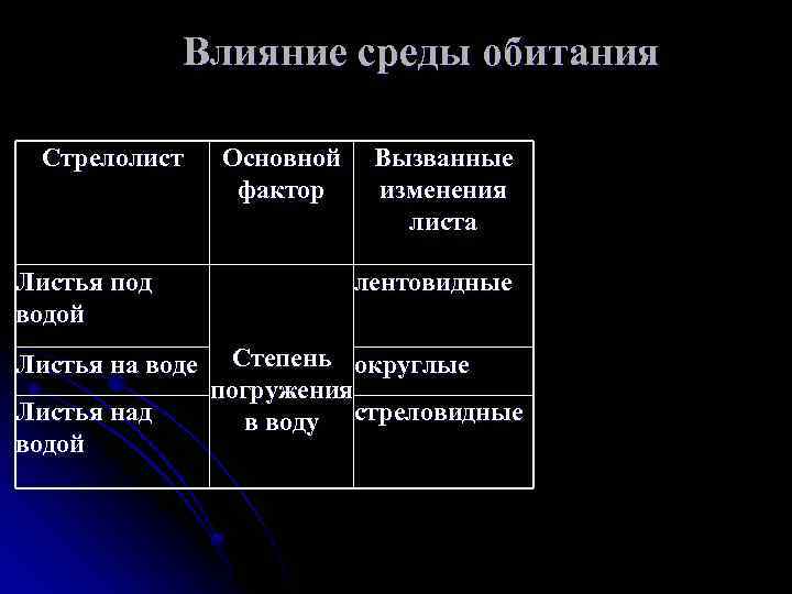 Влияние среды обитания Стрелолист Листья под водой Листья на воде Листья над водой Основной