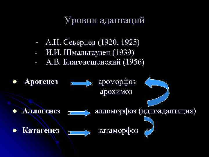 Уровни адаптаций - А. Н. Северцев (1920, 1925) - И. И. Шмальгаузен (1939) -