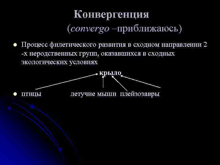  Конвергенция (convergo –приближаюсь) l Процесс филетического развития в сходном направлении 2 -х неродственных